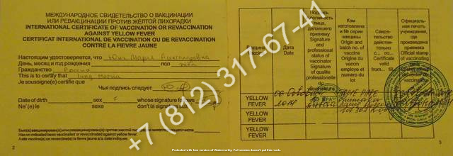 Купить международный  сертификат о вакцинации от желтой лихорадки официально